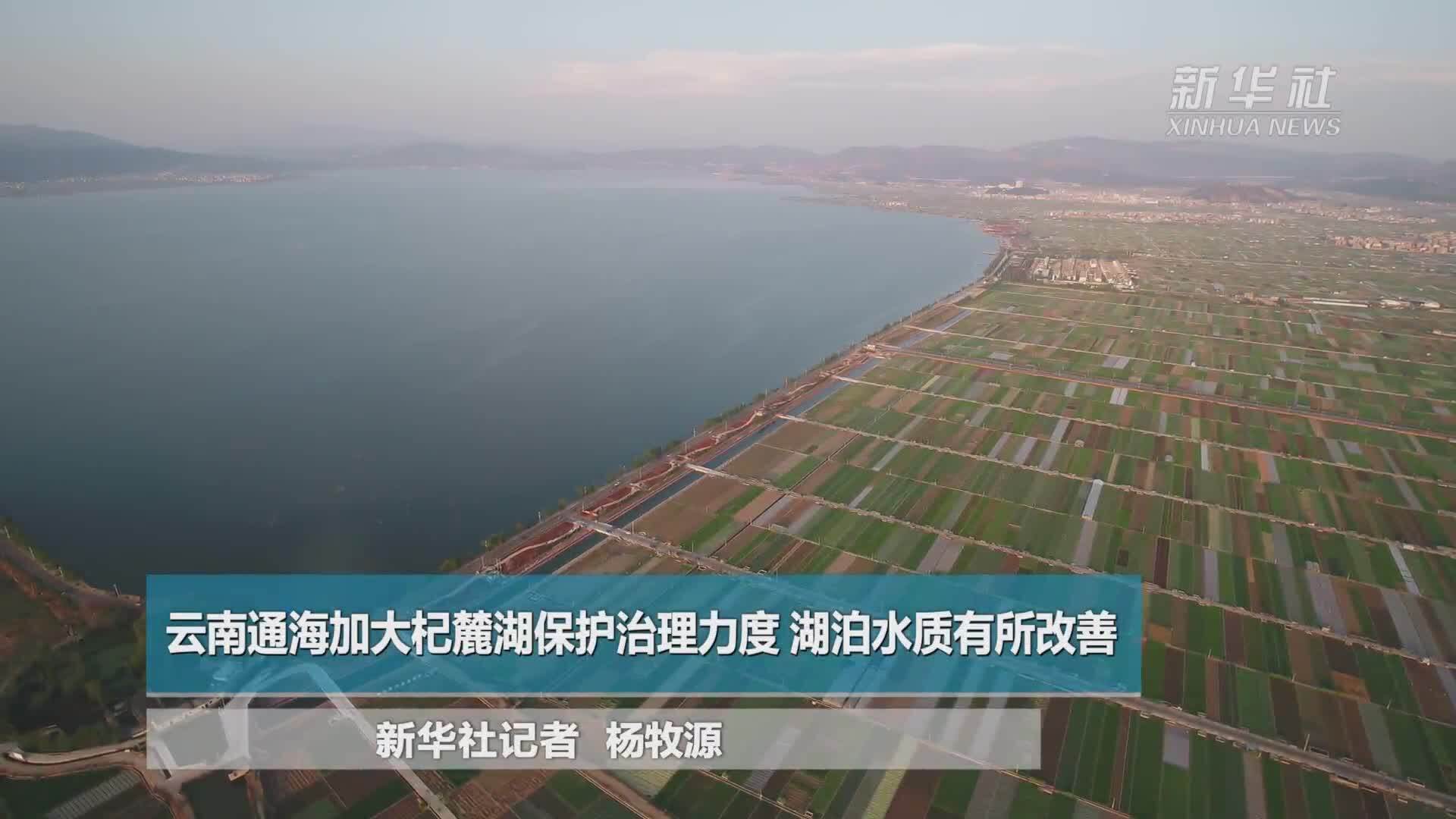 云南通海加大杞麓湖保护治理力度 湖泊水质有所改善