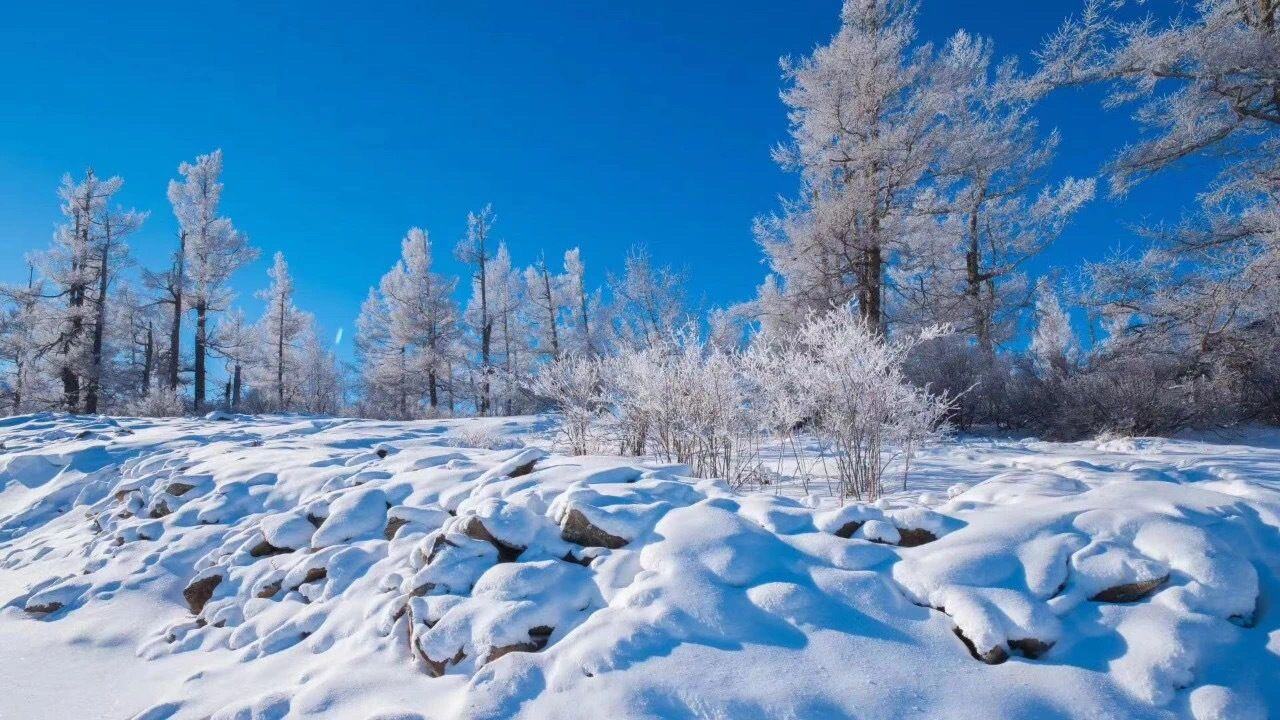 一样的冬天,不一样的内蒙古雪景