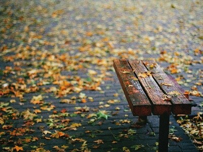 一场秋雨一场凉 未来3天内蒙古大部有小雨