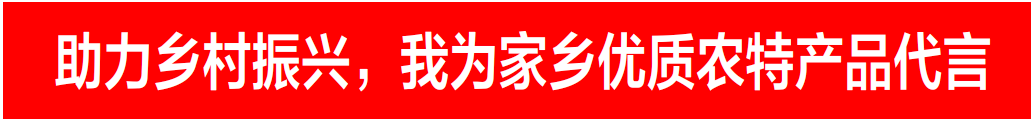 代言人潘愛民我是東河區沙爾沁鎮楊圪塄村黨支部書