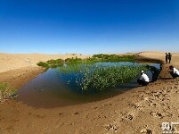 荒漠引入黄河水 沙海育出新绿洲
